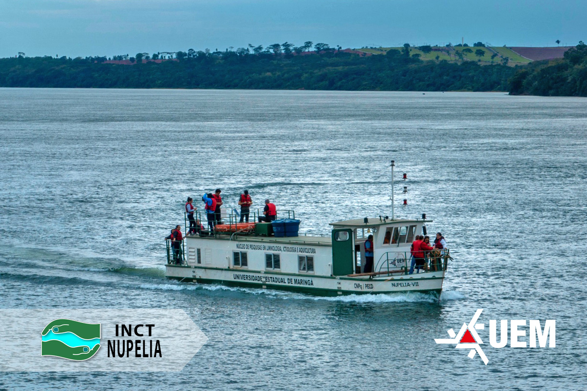 This image for Image Layouts addon