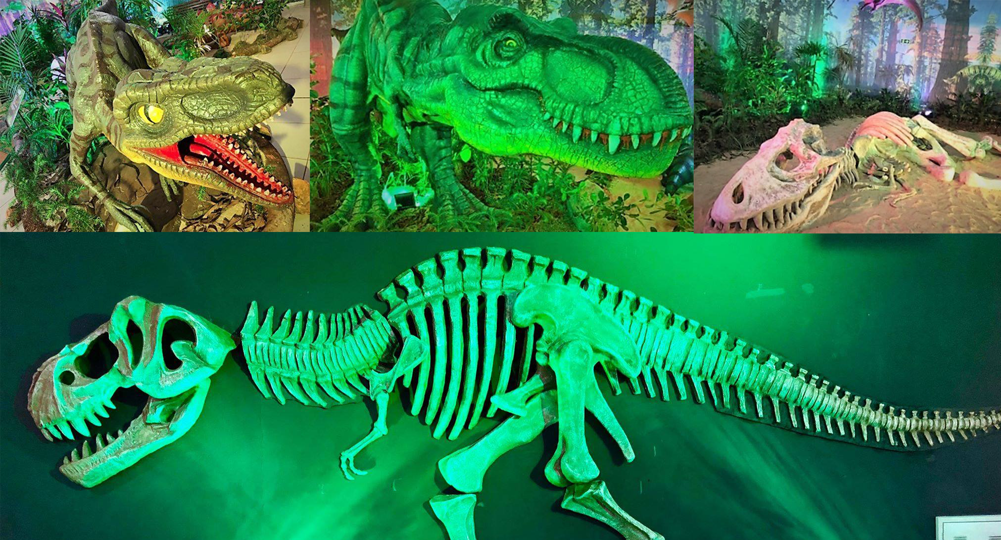 fotos: Gustavo Augusto Serpa Rocha (reprodução/Facebook)